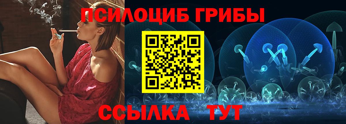 Псилоцибиновые грибы GOLDEN TEACHER Алапаевск