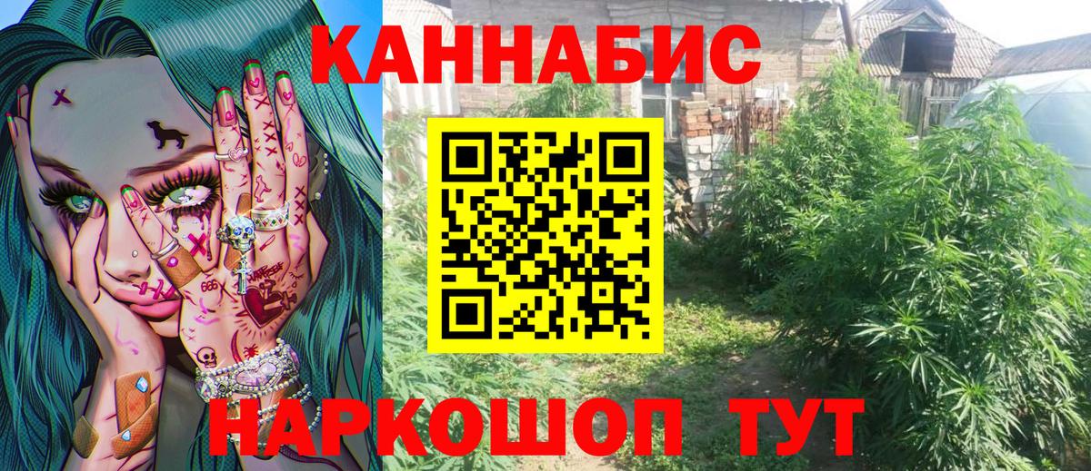 Бошки марихуана сатива  Марихуана план  Марихуана тримм  Алапаевск  Вход с VPN 